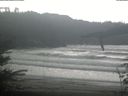 ./images/calvert/beach/20220401/beach20220401_125502.jpg