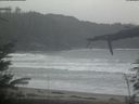 ./images/calvert/beach/20220402/beach20220402_134502.jpg