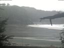 ./images/calvert/beach/20220403/beach20220403_102503.jpg