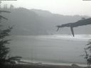 ./images/calvert/beach/20220403/beach20220403_111502.jpg