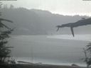 ./images/calvert/beach/20220403/beach20220403_112003.jpg