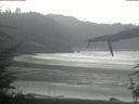 ./images/calvert/beach/20220403/beach20220403_115501.jpg