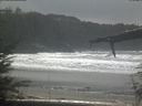 ./images/calvert/beach/20220403/beach20220403_131003.jpg