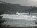 ./images/calvert/beach/20220403/beach20220403_163502.jpg