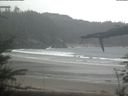 ./images/calvert/beach/20220404/beach20220404_130502.jpg