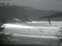 ./images/calvert/beach/20220404/beach20220404_145501.jpg