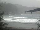 ./images/calvert/beach/20220404/beach20220404_153501.jpg
