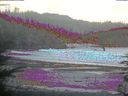 ./images/calvert/beach/20220411/beach20220411_200502.jpg