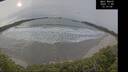 ./images/calvert/beach/20241105/beach20241105_131003M.jpg