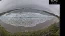 ./images/calvert/beach/20241106/beach20241106_144003M.jpg