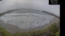 ./images/calvert/beach/20241107/beach20241107_150003M.jpg