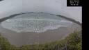 ./images/calvert/beach/20241107/beach20241107_164502M.jpg
