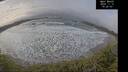 ./images/calvert/beach/20241112/beach20241112_102002M.jpg