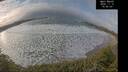 ./images/calvert/beach/20241112/beach20241112_105002M.jpg