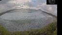 ./images/calvert/beach/20241114/beach20241114_122002M.jpg
