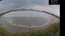 ./images/calvert/beach/20241114/beach20241114_134502M.jpg