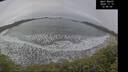 ./images/calvert/beach/20241115/beach20241115_124502M.jpg