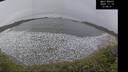 ./images/calvert/beach/20241115/beach20241115_130001M.jpg