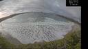 ./images/calvert/beach/20241117/beach20241117_110002M.jpg