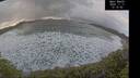 ./images/calvert/beach/20241117/beach20241117_121502M.jpg