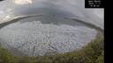 ./images/calvert/beach/20241117/beach20241117_144501M.jpg
