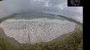 ./images/calvert/beach/20241118/beach20241118_154002M.jpg