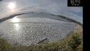 ./images/calvert/beach/20241119/beach20241119_125502M.jpg