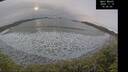 ./images/calvert/beach/20241119/beach20241119_143002M.jpg