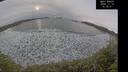 ./images/calvert/beach/20241119/beach20241119_143501M.jpg