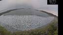./images/calvert/beach/20241119/beach20241119_150502M.jpg