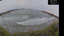./images/calvert/beach/20241119/beach20241119_154501M.jpg