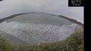 ./images/calvert/beach/20241119/beach20241119_155002M.jpg