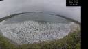 ./images/calvert/beach/20241120/beach20241120_143002M.jpg