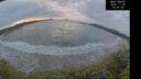 ./images/calvert/beach/20241120/beach20241120_160502M.jpg