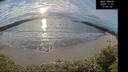 ./images/calvert/beach/20241121/beach20241121_150502M.jpg