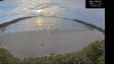 ./images/calvert/beach/20241122/beach20241122_150502M.jpg