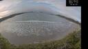 ./images/calvert/beach/20241127/beach20241127_100502M.jpg