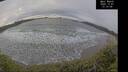 ./images/calvert/beach/20241201/beach20241201_131507M.jpg