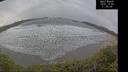 ./images/calvert/beach/20241203/beach20241203_115009M.jpg