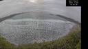 ./images/calvert/beach/20241204/beach20241204_140507M.jpg