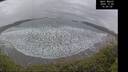 ./images/calvert/beach/20241204/beach20241204_145008M.jpg