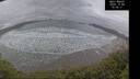 ./images/calvert/beach/20241204/beach20241204_150011M.jpg