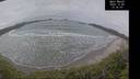 ./images/calvert/beach/20241205/beach20241205_133506M.jpg