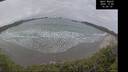 ./images/calvert/beach/20241205/beach20241205_140010M.jpg