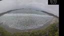 ./images/calvert/beach/20241205/beach20241205_141509M.jpg