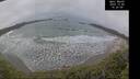 ./images/calvert/beach/20241205/beach20241205_142009M.jpg