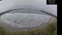 ./images/calvert/beach/20241205/beach20241205_154508M.jpg