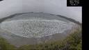 ./images/calvert/beach/20241206/beach20241206_154011M.jpg