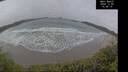 ./images/calvert/beach/20241206/beach20241206_154510M.jpg