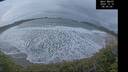 ./images/calvert/beach/20241210/beach20241210_080508M.jpg